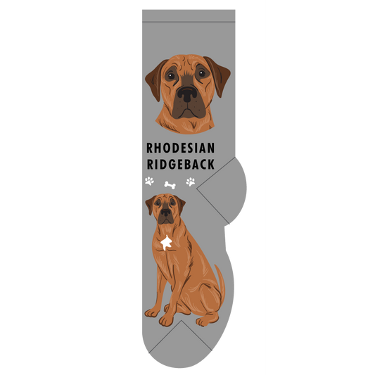 Rhodesian Ridgeback