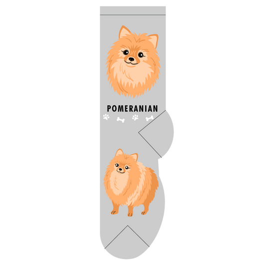 Pomeranian